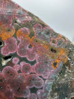 8th Vein Ocean Jasper Slab #17