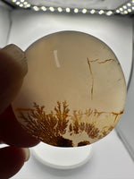 Designer Dendritic Agate Cabochon #2