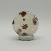 Scenic Dendritic Agate Cabochon #10