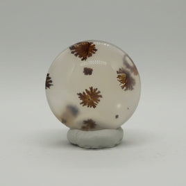 Scenic Dendritic Agate Cabochon #10