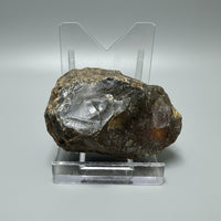 Raw Amber Specimen #16