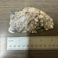 8th Vein Ocean Jasper Slab #87