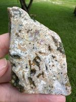 8th Vein Ocean Jasper Slab #112