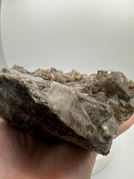 Quartz, Elestial Garden, Lodolite, Jacare, Brazil