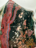 8th Vein Ocean Jasper Slab #46