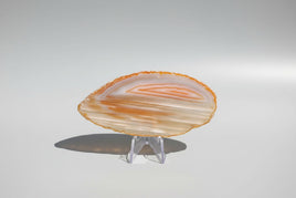 Agate Slice #19