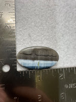 Owyhee Blue Opal Cabochon #1