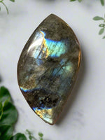 Freeform Labradorite #12