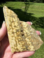 8th Vein Ocean Jasper Slab #94