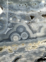 8th Vein Ocean Jasper Slab #5