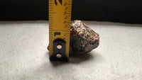 Madagascar Raw Amber Specimen #5