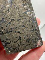 Free Form Pyrite Flowers Symbiosis Mixed Agate Slab #4