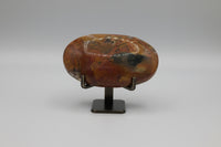 Money Agate Palm Stone #1