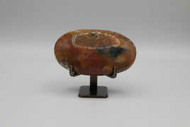 Money Agate Palm Stone #1