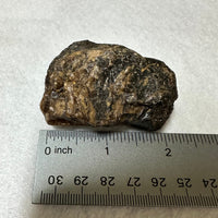 Raw Amber Specimen #13