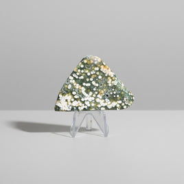 Ocean Jasper Free-form #3