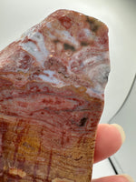 8th Vein Ocean Jasper Slab #53