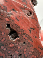 8th Vein Ocean Jasper Slab #64