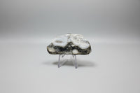 6th Vein Ocean Jasper Polished Freeform #9