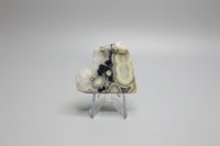 6th Vein Ocean Jasper Polished Freeform #30