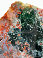 8th Vein Ocean Jasper Slab #57