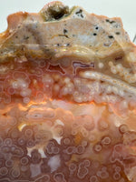 8th Vein Ocean Jasper Slab #66