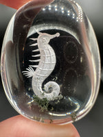 Beautiful Seahorse Garden Quartz Inner Scene Carving #7