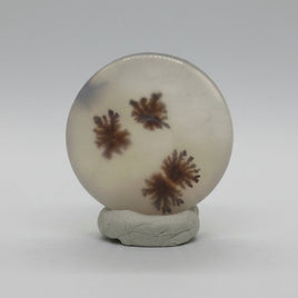 Scenic Dendritic Agate Cabochon #9
