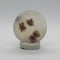 Scenic Dendritic Agate Cabochon #9