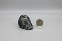 Kambaba Jasper Tumble #2