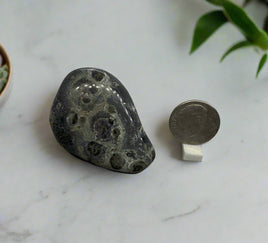 Kambaba Jasper Tumble #2