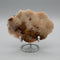 Druzy Quartz Haunted Ridge Rocks MO #9