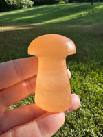 Peach Selenite Mushroom #6