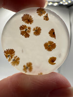 Scenic Dendritic Agate Cabochon #6