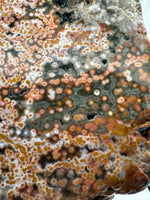 8th Vein Ocean Jasper Slab #24