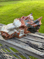 Unique Pudding Stone Dragon Head Carving