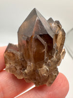 Natural Citrine Cathedral Crystal Kundalini Lightbrary, Congo #8