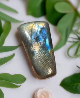 Triangle Freeform Labradorite Cabochon 47a