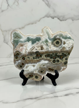 One of a Kind Bunny Shaped 8th Vein Ocean Jasper Slab #2