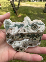 One of a Kind Bunny Shaped 8th Vein Ocean Jasper Slab #2