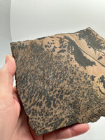 Nevada Picture Jasper Slab - Old Stock
