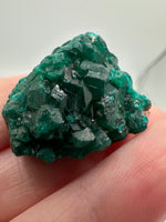 Green Dioptase from Republic of Congo Specimen #3