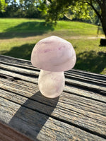 Fluorite Mushroom Carving #17