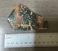 8th Vein Ocean Jasper Slab #81