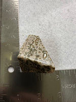 Ocean Jasper Free-form #18