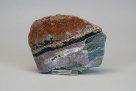 8th Vein Ocean Jasper Slab #25