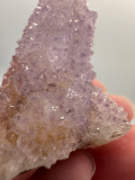 Amethyst Spirit Cactus Cluster, South Africa #3