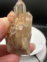 Natural Kundalini Citrine Lightbrary Crystal #11 – DR Congo