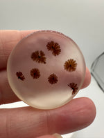 Scenic Dendritic Agate Cabochon #3