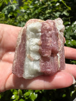 Tourmaline var Rubellite Minas Gerais, Brazil